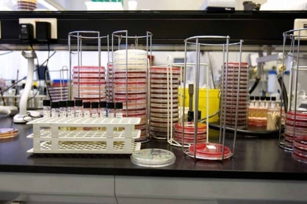 Into Business Finance Afdeling